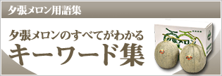 夕張メロンのすべてがわかるキーワード集