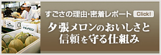 夕張メロンのおいしさと信頼を守る仕組み