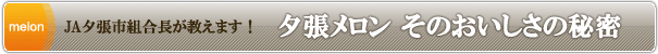 夕張メロン　そのおいしさの秘密