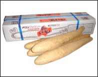 夕張市産長いも 3Lサイズ5kg