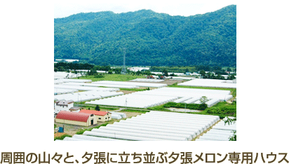 周囲の山々と、夕張に立ち並ぶ夕張メロン専用ハウス