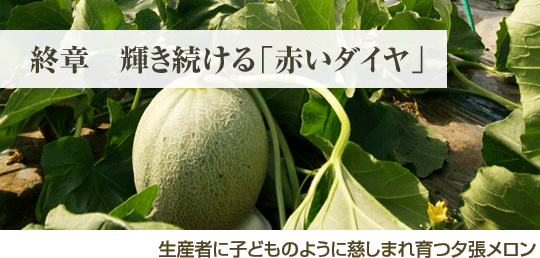 終章 輝き続ける「赤いダイヤ」 生産者に子どものように慈しまれ育つ夕張メロン