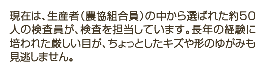 現在は、生産者（農協組合員）の中から選ばれた約50人の検査員が、検査を担当しています。長年の経験に培われた厳しい目が、ちょっとしたキズや形のゆがみも見逃しません。
