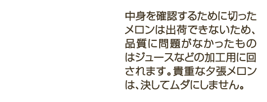 中身を確認するために切ったメロンは出荷できないため、品質に問題がなかったものはジュースなどの加工用に回されます。