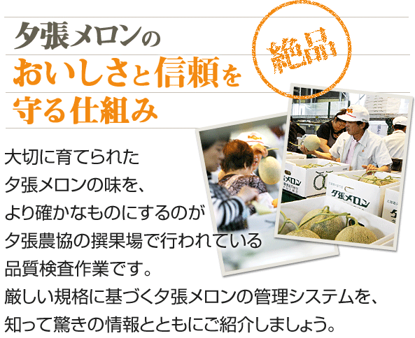 夕張メロンのおいしさと信頼を守る仕組み 大切に育てられた夕張メロンの味を、より確かなものにするのが夕張農協の撰果場で行われている品質検査作業です。厳しい規格に基づく夕張メロンの管理システムを、知って驚きの情報とともにご紹介しましょう。