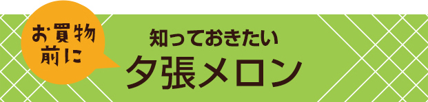 知っておきたい夕張メロン