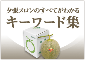 夕張メロンのすべてがわかるキーワード集