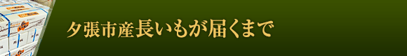 夕張市産長いもが届くまで
