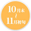 １０月末～１１月初旬