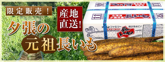 限定販売！産地直送！夕張の元祖長いも