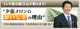 JA夕張市組合長が明かす“夕張メロンのおいしさの理由